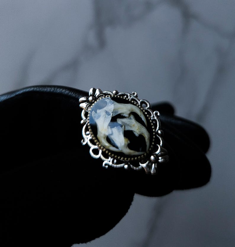 May include: An oval-shaped silver-toned ring with a detailed filigree border. The ring's centerpiece features a dark background with a white and beige organic design, possibly a preserved specimen. The ring is held against a black surface.