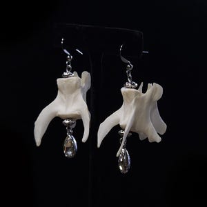 Pode incluir: Um par de brincos pendentes com segmentos de vértebras ósseas em tom branco-sujo e textura irregular, suspensos por ganchos de metal prateado. Cada brinco é acentuado com uma pequena conta de cristal transparente facetada em forma de gota.