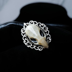 May include: A silver-toned ring featuring a small, detailed skull encased in a clear resin. The skull has dark eye sockets and a light tan color. The ring is set within an ornate, filigree-style frame.