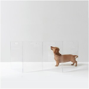 May include: A clear, folding pet gate with a small, tan-colored dachshund dog standing inside. The gate has three panels with handle cutouts. The dog is looking up, and the background is white.