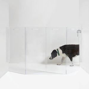 May include: A clear, folding pet gate with a dog inside. The gate is made of transparent panels with small handles at the top. The dog is black and white with a green collar.