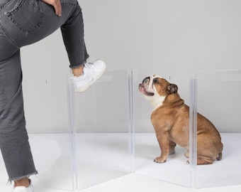 Puerta baja transparente para mascotas montada en la pared • Barrera acrílica para perros en zigzag