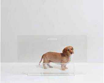 Puerta para mascotas independiente de acrílico transparente de baja altura: barrera moderna para perros con panel