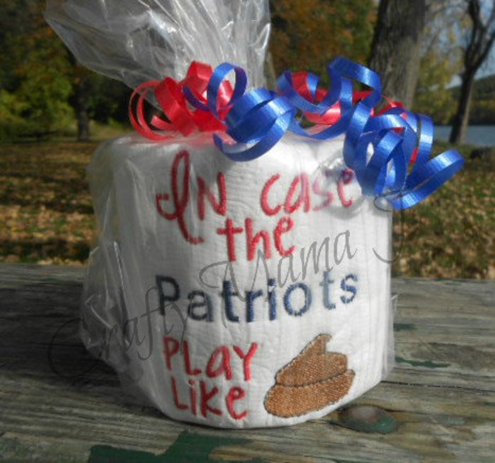 Patriots Football Team Embroidered Toilet Paper In Case Etsy