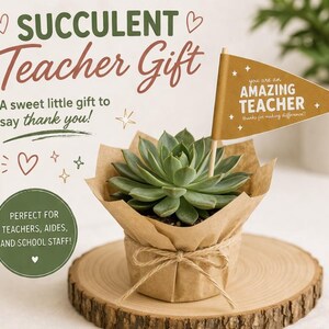 May include: A set of three ceramic vases in varying heights and shapes. The vases are glazed in a matte white finish, offering a minimalist aesthetic. The tallest vase is approximately 10 inches high.