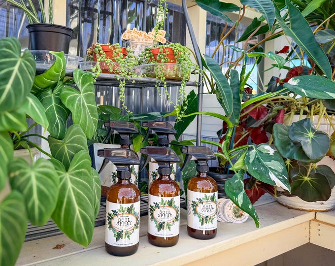 Featured listing image: Natural Houseplant Soil Spray | Organic Plant Tonic, Root Support