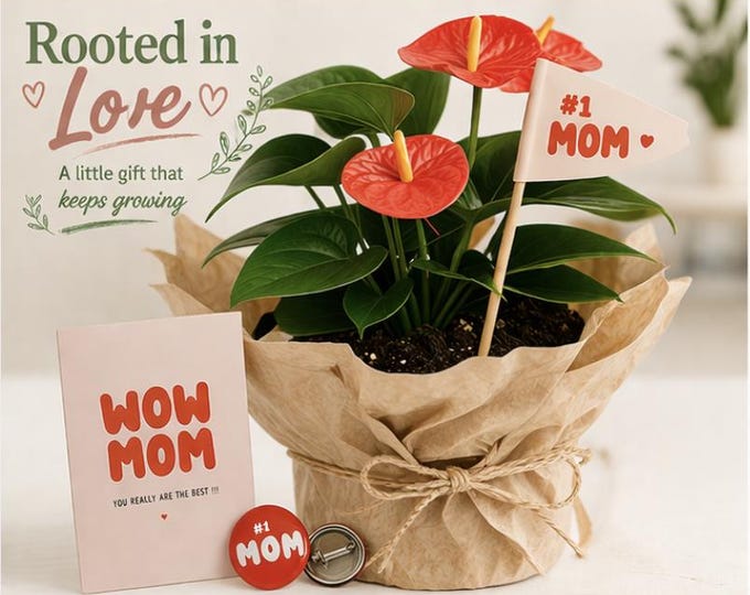 Featured listing image: Anthurium Plant Gift for Mom | Mother’s Day Plant Gift Box | Gift for Plant Lover | Unique Gift for Mom | Ready to Gift