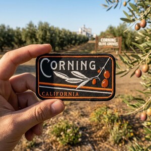 May include: A rectangular patch with the word "Corning" in white, arched over a branch with olives. The patch has an orange border and the word "California" at the bottom. The background shows an olive grove.