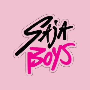 Puede incluir: Fondo rosa con la inscripción "SAJA BOYS". La palabra "SAJA" está en negro, con una escritura estilizada, y "BOYS" en rosa, con letras en negrita. El texto tiene un contorno blanco.