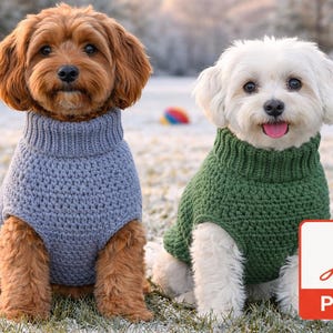 May include: Two dogs wearing handmade crochet sweaters. One dog is brown and wearing a light blue sweater, and the other is white and wearing a green sweater. The dogs are sitting on grass with a PDF icon in the bottom right corner.