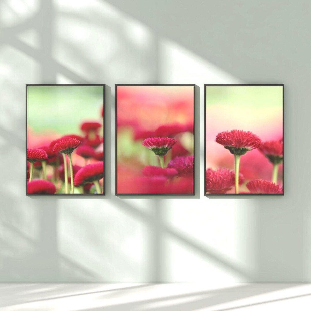 Set of 3 Red Flower Photography Print Set, Botanical Wall Art, Modern ...