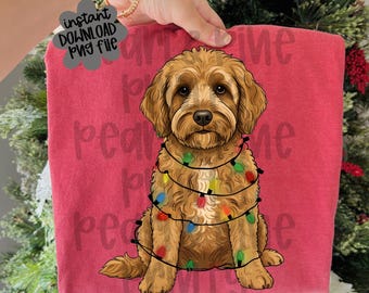 Festliche Golden Doodle PNG-Datei | Trendy Weihnachtsdesign | Sofortiger Download PNG-Clipart-Datei