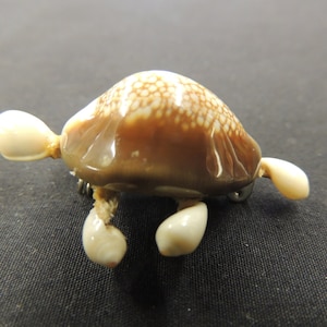 Vintage All Shell Turtle Animal Brooch Pin Tropical Beach Fun