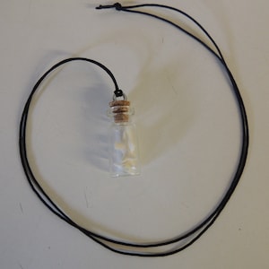 Oddity Shark Teeth Glass Vile Necklace