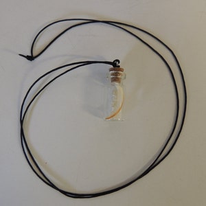Muskrat Fang and Loose Teeth Glass Vile Oddity Necklace
