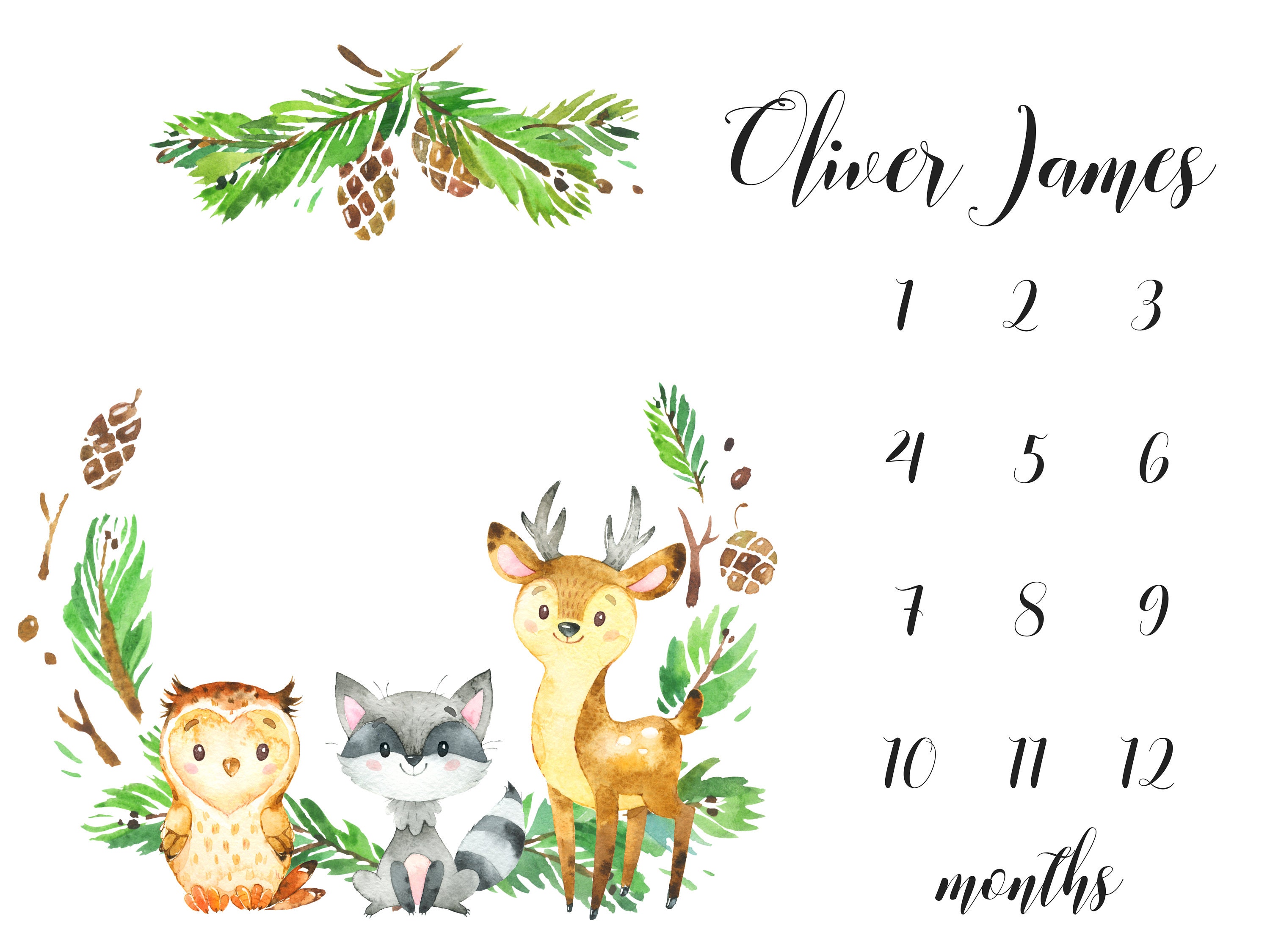 Woodland Boy Baby Blanket Baby Boy Monthly Blanket Baby ...