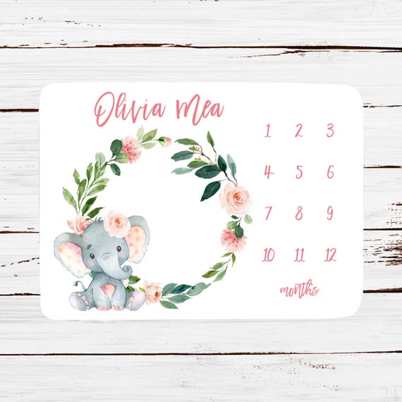 month blanket for baby girl