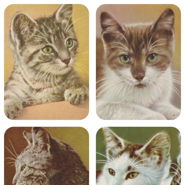 Set of 4 German Photo Postcard "Cats" -- 1960?