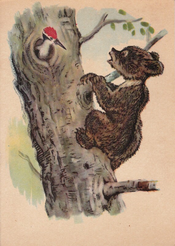 Большой пёстрый дятел. Ёжик и дятел. Белка и дятел. Заяц дятел. Дятел для детей с названием.