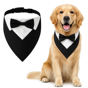 Peut inclure: Un bandana noir et blanc pour chien, conçu pour ressembler à un smoking. Le bandana présente un nœud papillon noir, un devant de chemise blanc et deux boutons blancs. Un golden retriever porte le bandana.