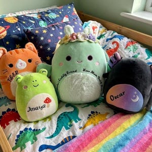 Könnte beinhalten: Vier Plüschtiere, darunter eine orangefarbene Katze mit der Aufschrift Tiger, ein grüner Frosch mit der Aufschrift Anaya und einem Pilzsymbol, ein großes mintgrünes Wesen mit Blumenkranz und der Aufschrift Love Mum, Dad & Nits sowie ein schwarzer Axolotl.