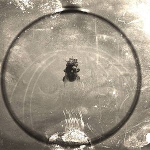 The Fly Under Magnifying Glass | Black and White Photography Print | Macabre Dark Art | Spooky Home Decor | Halloween Wall Art