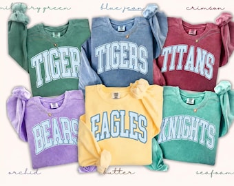 Custom School Mascot Shirt & Sweatshirt, Personalized Teacher Shirt, Varsity School Spirit Wear, Custom School Name Tee