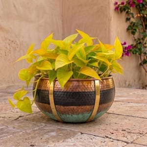May include: A round, hammered metal planter featuring horizontal bands of copper, black, and teal, accented by vertical brass-toned strips. A vibrant neon yellow pothos plant with heart-shaped leaves grows out of the top of the bowl-shaped container.