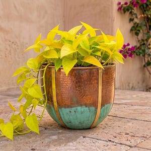 Puede incluir: Una maceta redonda de metal con una sección superior de cobre martillado y una sección inferior con pátina verde azulado, acentuada por tiras metálicas verticales en tono latón. Una planta pothos amarillo neón con hojas en forma de corazón.