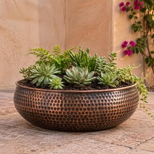 Può includere: Una ciotola per piante rotonda in metallo martellato color rame, riempita con una varietà di piante succulente verdi e piccole felci. La ciotola presenta una superficie testurizzata e punteggiata, contenente terriccio scuro e varie specie.