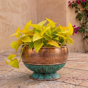 May include: A round planter featuring a hammered copper upper section and a teal-colored base with a pedestal foot. The planter contains a vibrant neon yellow-green pothos plant with heart-shaped leaves cascading over the metallic rim.