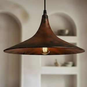 May include: A copper-colored pendant light fixture with a wide, flared shade. The light bulb is visible inside the shade. The fixture hangs from a black cord. The background features a neutral-toned wall with arched alcoves.