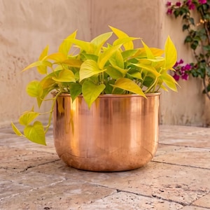 Puede incluir: Una maceta de cobre pulido de forma cilíndrica que contiene una planta pothos de color amarillo neón y verde vibrante con hojas en forma de corazón que se derraman sobre el borde metálico liso y reflectante.