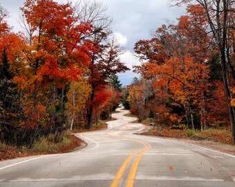 Door County Winding Road