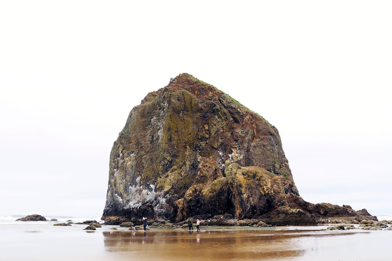 May include: A large, rocky island with a green and brown surface sits in the middle of a sandy beach. The island is surrounded by water and there are a few people standing on the beach in the foreground.