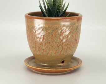 Succulent Planter with attached Saucer and drainage hole | Small Plant - Herb Pottery | Handcrafted Stoneware - Red Gold Glaze FREE Shipping