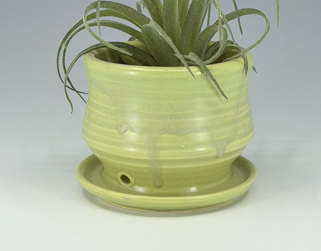 Handcrafted Stoneware Succulent Planter: Wheel Thrown Pottery With ...