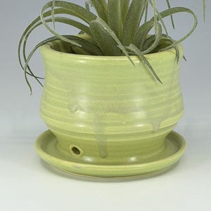 Handcrafted Stoneware Succulent Planter: Wheel Thrown Pottery with Saucer