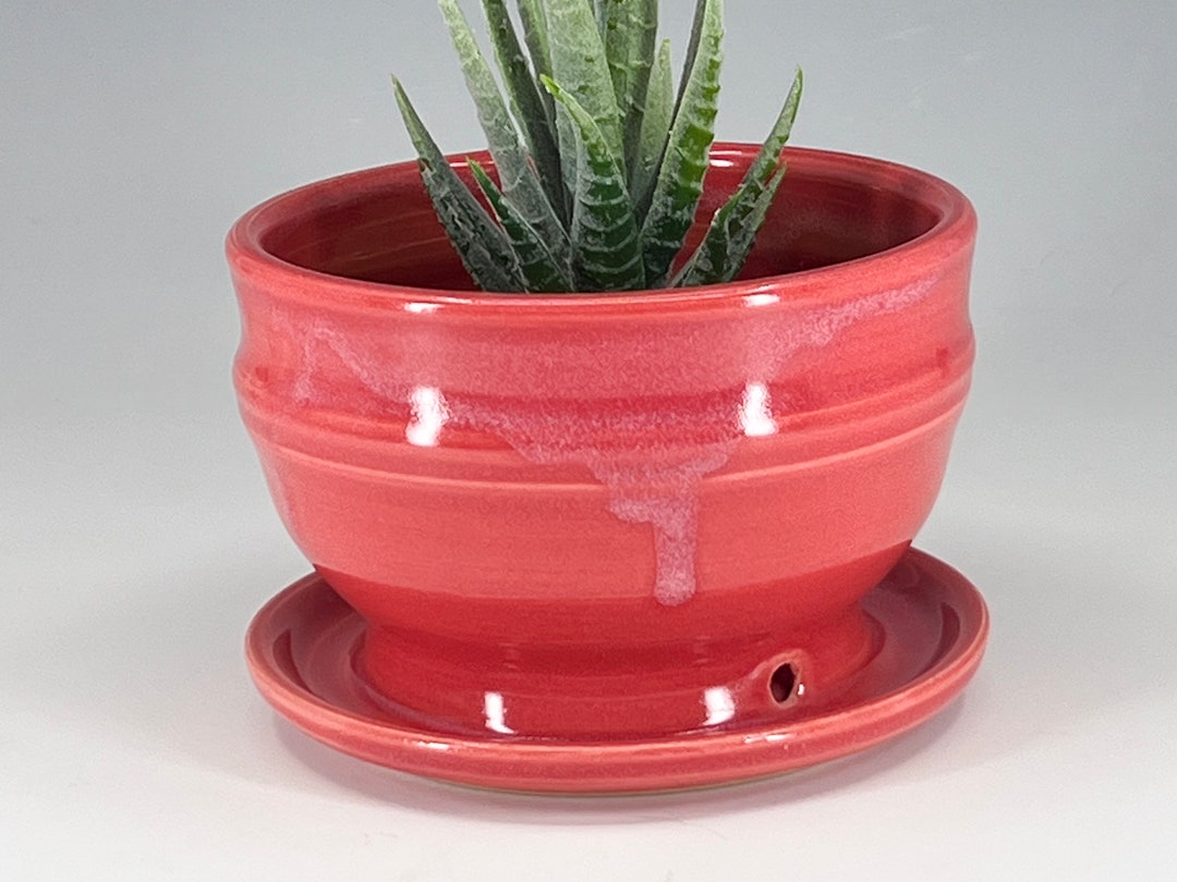 Succulent Planter With Attached Saucer and Drainage Hole Etsy