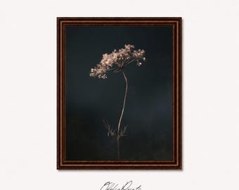 Affiche botanique d'art floral sombre Oeuvre d'art de fleurs de mauvaise humeur Style vintage moderne Illustration d'inspiration antique Téléchargement numérique pour le salon