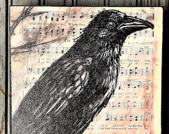Crow