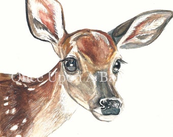 Deer