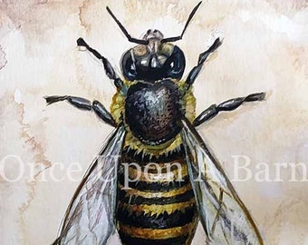 Bee