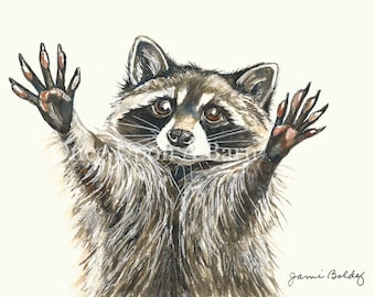 Raccoon