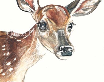 Deer