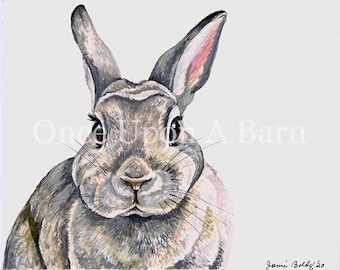 Bunny