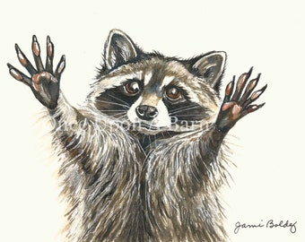 Raccoon