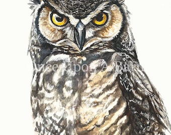 Owl