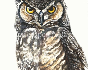 Owl