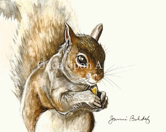 Squirrel